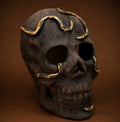 Colección de Calaveras