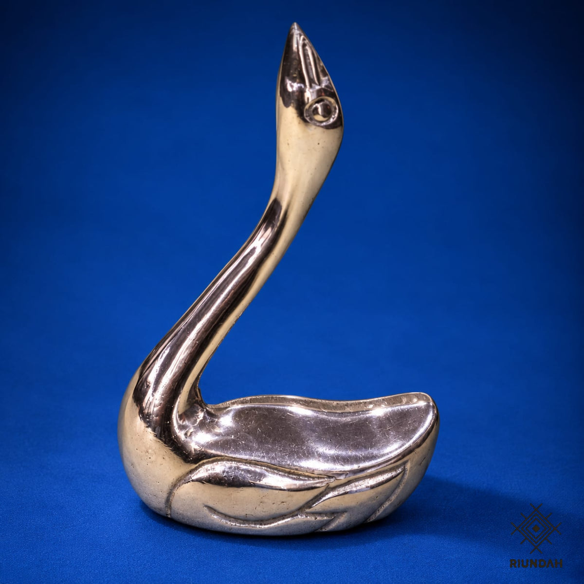Anillero Cisne