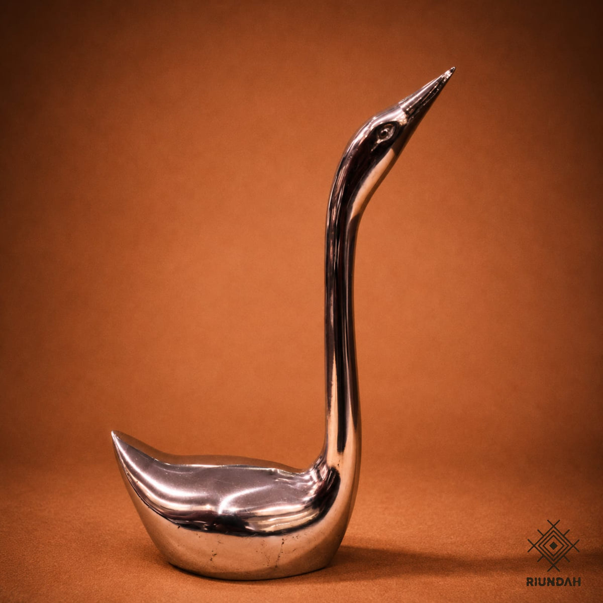 Anillero Cisne Grande